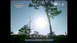 20130108《靜思晨語。法譬如水》大愛無貴賤
