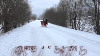 Катания и прогулки на лошадях в Бежецке и Твери . Хотор " На коне"