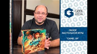 Обзор игры "По верблюдам" (Camel Up)