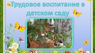Трудовое воспитание в детском саду.