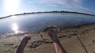 Ловля судака и окуня на живца/ Днепр в июне 2017/Видеоотчет/ (снято GoPro Hero Session)