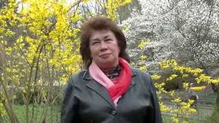 Притча,  Про мешок с золотом. Наталья Кучеренко.