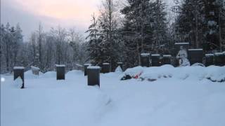 Алакуртти Декабрь 2012г