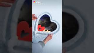 Привет, Друг! Посмотри пожалуйста и поставь Лайк и подпишись на канал и лайк