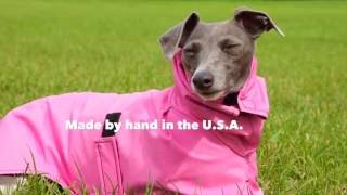 Add Extra Warmth by Layering Dog Clothes | DogCoats.com