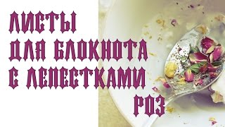 Листы  для блокнота  "Родовід"