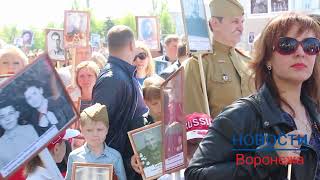 Бессмертный полк прошел по центру Воронежа 9 мая 2015 года