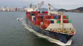 Container Ship "Log-In Jacarandá" - 30/07/2017