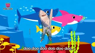Акуленок туруруру танцует туруруру танец)))just dance baby shark  challenge