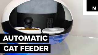 Finally, an Automatic Food and Water Dispenser for Your Cat