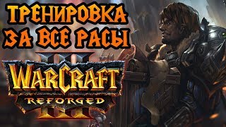 Играю за ВСЕ расы. 8 дней до релиза Warcraft 3 Reforged