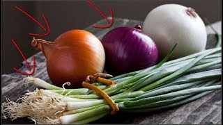 لماذا تدمع العين عند تقطيع البصل ؟ وهل نزول الدمع شيئ مفيد ؟