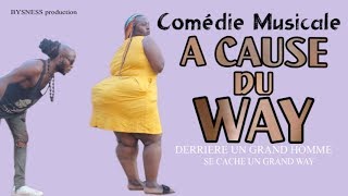 comedie musicale A CAUSE DE WAY