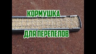 Кормушка для птицы своими руками / Выращивание перепелов