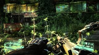 Crysis 3 Realism Mod on GTX 780