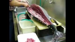 本まぐろ  44KG  bluefin  Cutting Tuna Fish   sushi　part 1