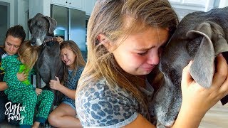 SAYING FINAL GOODBYES TO OUR FAMILY DOG | Slyfox Family