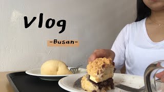 [Busan vlog]빵??? 먹으러 떠난 부산여행기록