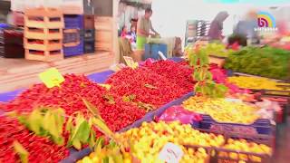 “Бизнес башта”: Жашылча-жемиште катылган миллиондор