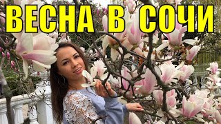 ВЕСНА В СОЧИ ? Стоит ли сходить в ПАРК ЮЖНЫЕ КУЛЬТУРЫ ⛲ Цветение МАГНОЛИИ СУЛАНЖА - МАРТ В СОЧИ ?