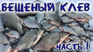 Бешеный клев леща.  Подводное видео. Часть 1