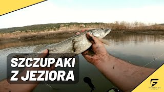 Błotne SPA | Hardcorowy wypad nad J. Mucharskie