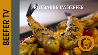 Beefer-TV: Rotbarbe (Mini Dorade) - Fisch Rezept mit Christian Senff