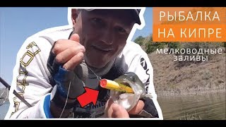Рыбалка на кипре с берега в мелководных заливах | ЧАСТЬ 2