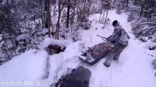 Заезд на промысел на мотособаках