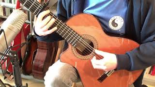 IDGAF - Dua Lipa (Guitar arrangement)