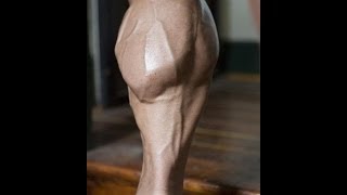 THE BEST CALVES IN HISTORY !!!!