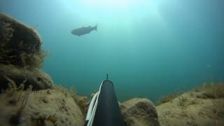 Геленджик 2016. Подводная охота.