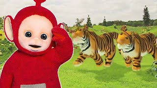 Special Animals compilation - 3 Hours of Teletubbies - Including the Animal Parade