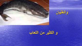 الاسماك السامة