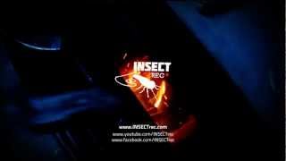 INSECT-Zima(official video 2013)