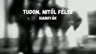 hangyák zenekar - tudom, mitől félsz