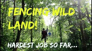 #235 - Fencing Wild Land - Hardest Job On The Homestead...