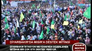 Diyarbakır'dan Mısır Direnişi`ne Destek Mitingi - 2
