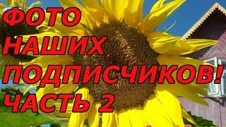 ФОТОГРАФИИ НАШИХ ПОДПИСЧИКОВ. Часть 2!