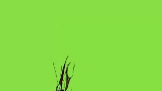 Blood Squirt Up Green Screen Effect|Friends company|hamza db