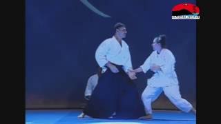 Aikido Rafa Madrid Sensei Almería Aikikai 2015 Maestro Padilla