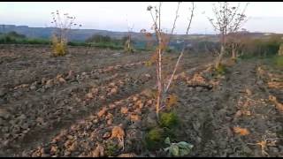 Kandırada Satılık Arazi - Kandırada Satılık Tarla