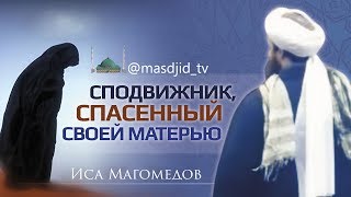 Поучительная история о матери и сыне
