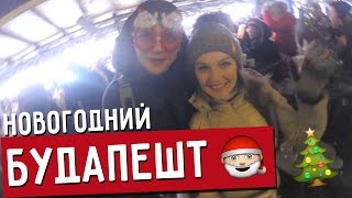 Новый Год в Будапеште, Сечени, зоопарк