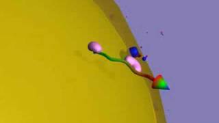 ProteinTransport(Mito)AdvancedXvid_rus
