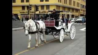 CARROZA COLONIAL LIMEÑA :  PASEO TURISTICO POR LA PLAZA DE ARMAS DE LIMA, PERU