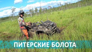 Питерские ковровые болота | в гостях у alexmotorsspb