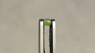 Зеленый нефрит "Яблочный", овальный кабошон (Green nephrite jade)