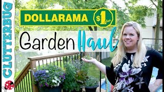 Dollarama Garden Haul -  Canadian Dollar Store