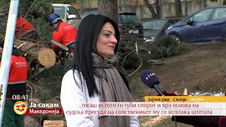 ЈП Паркови и зеленило на терен расчистува после невреме
